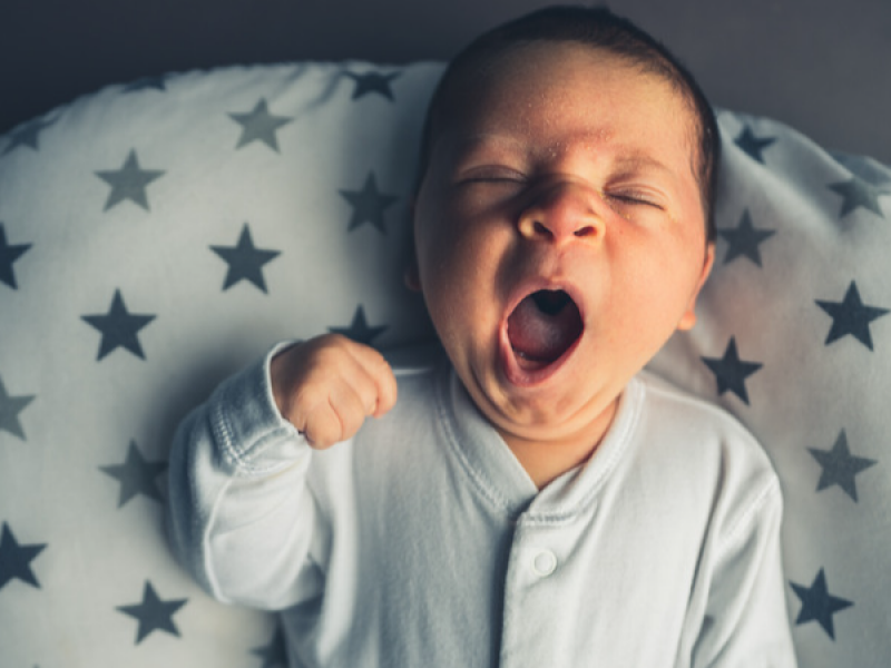 Süt Sağma Teknikleri ve Saklama Koşulları